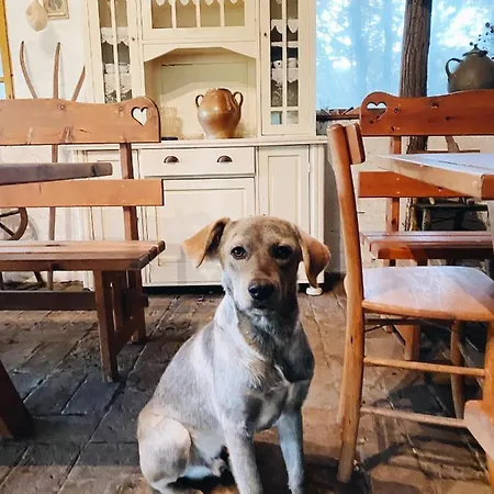 ファームステイ Etno Kuca Deram