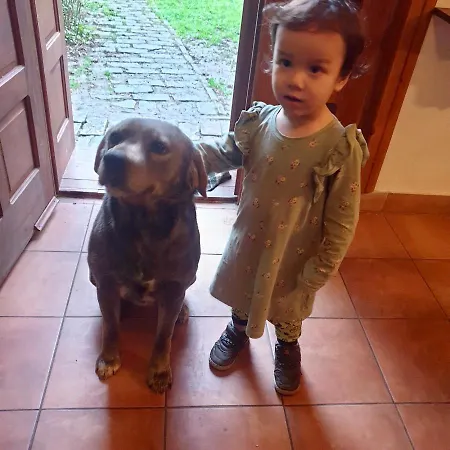 Etno Kuca Deram * Mokrin