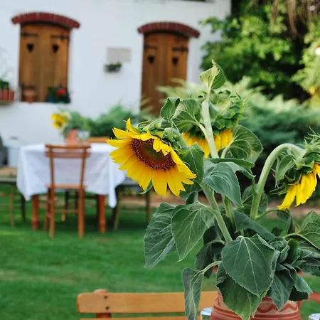 Etno Kuca Deram Farm stay Mokrin
