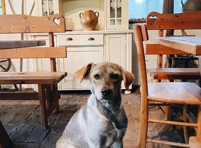 Κατάλυμα σε φάρμα Etno Kuca Deram