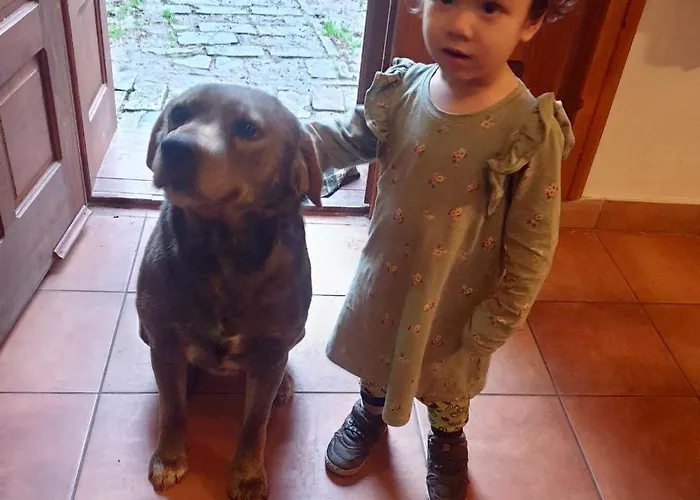 Etno Kuca Deram * Mokrin