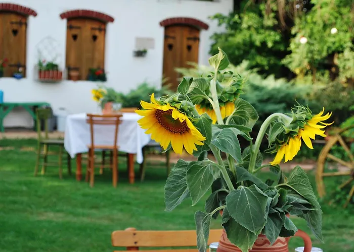 Etno Kuca Deram Κατάλυμα σε φάρμα Mokrin